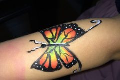 animal_12_img_5106-scaled